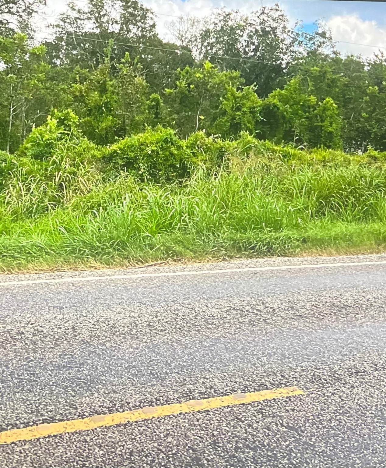 0 0 FM 521 - Photo 1