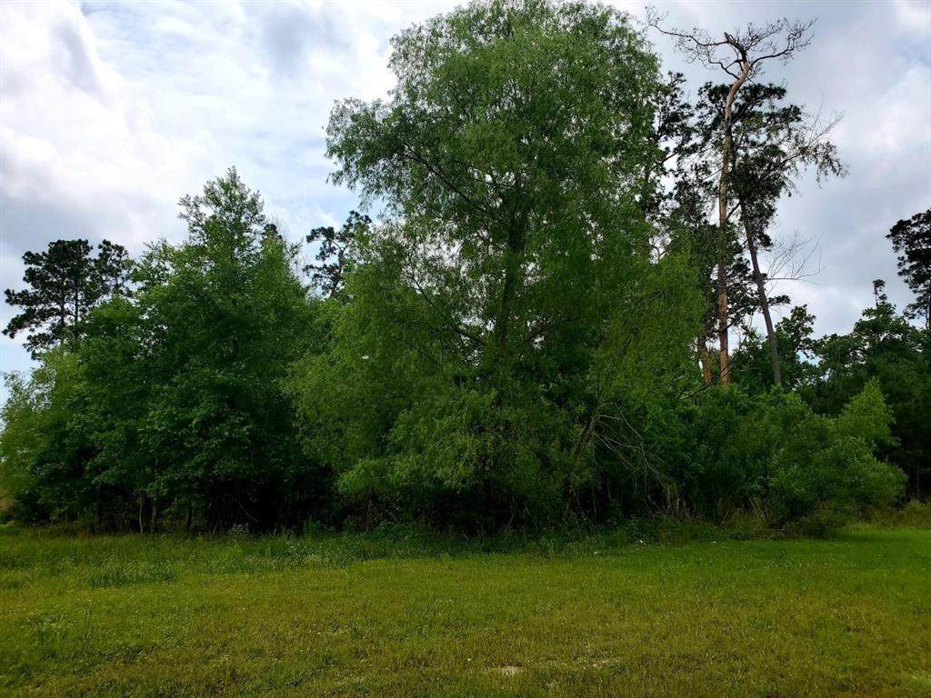 97 Kings Lake Estates Boulevard - Photo 1