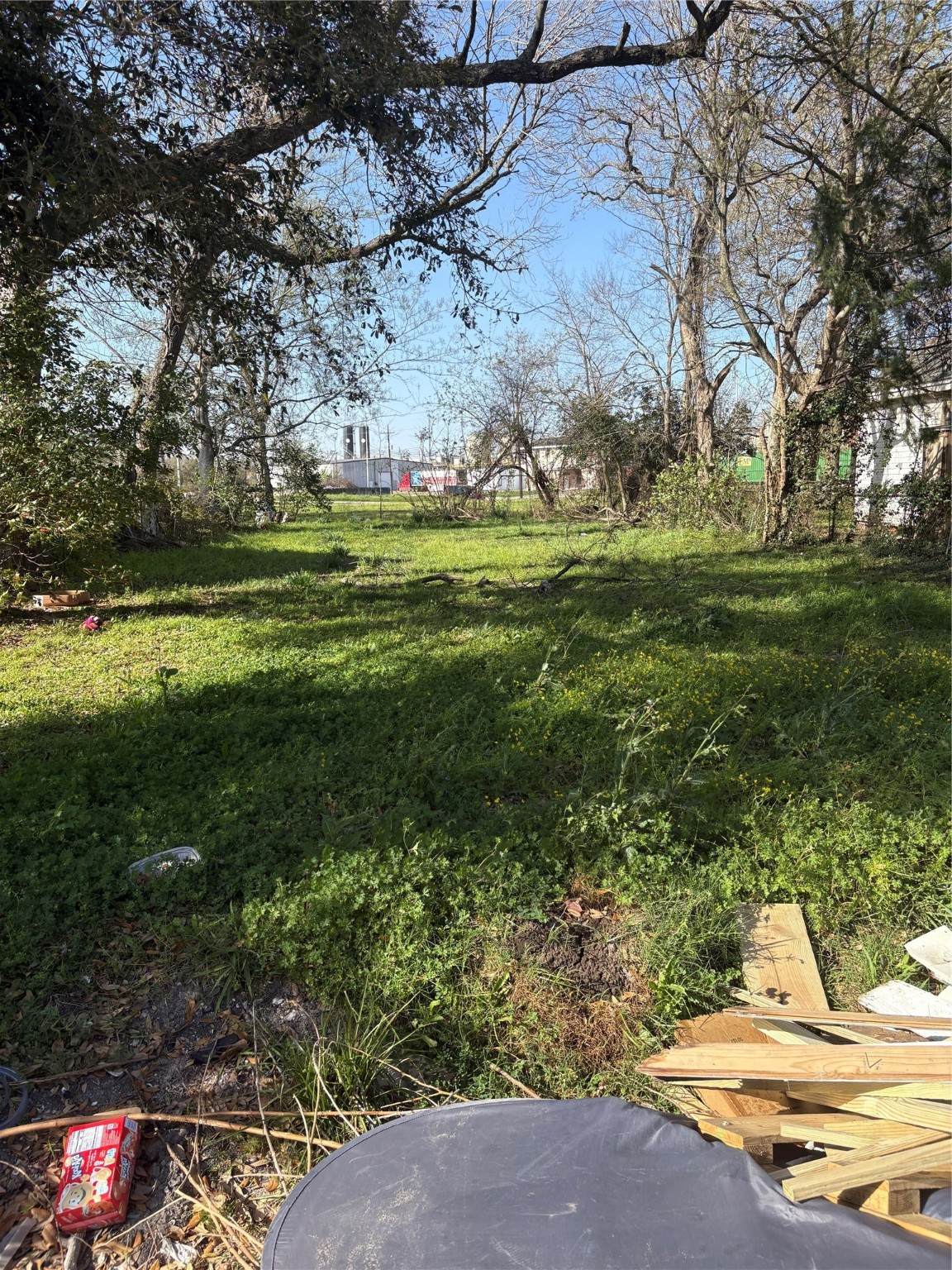 505 Elgie Street - Photo 1