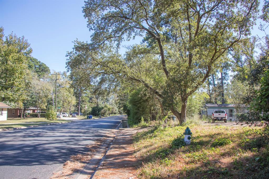 2940 Old Houston - Photo 1