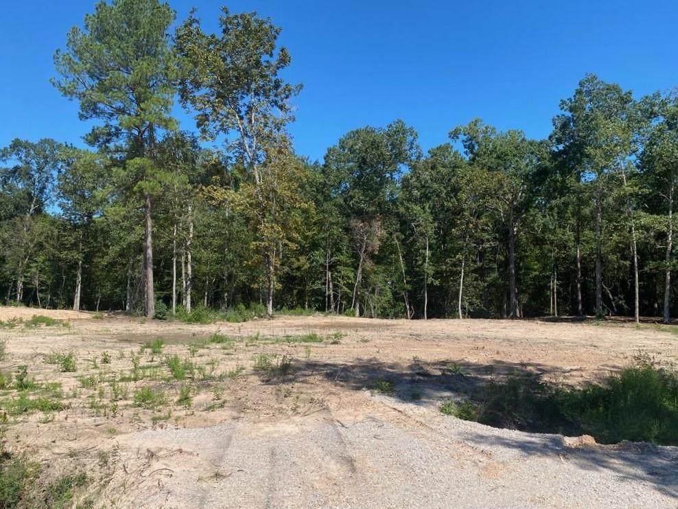 649 County Road 2218 - Photo 1