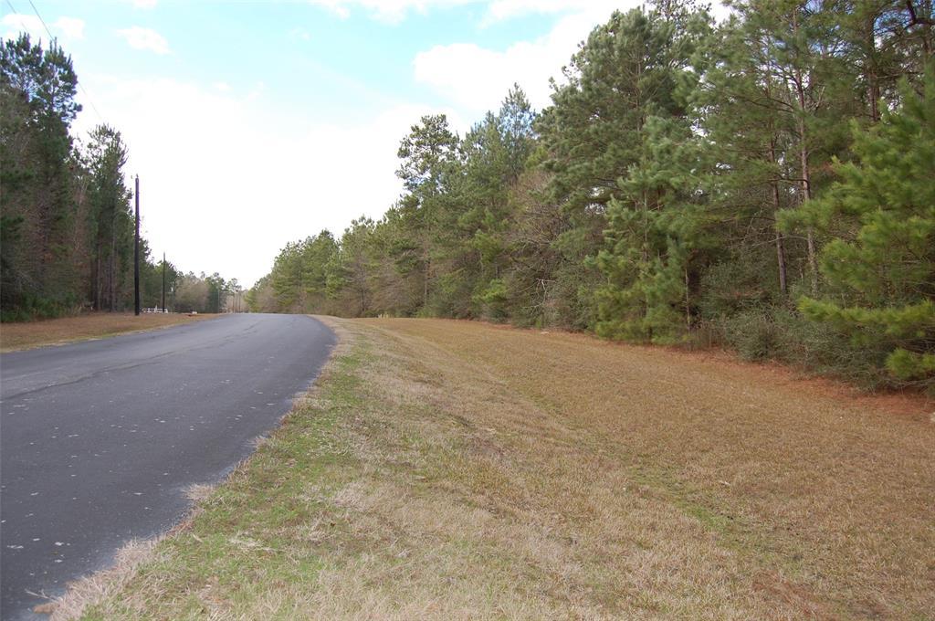 30011 Round Up Drive - Photo 1