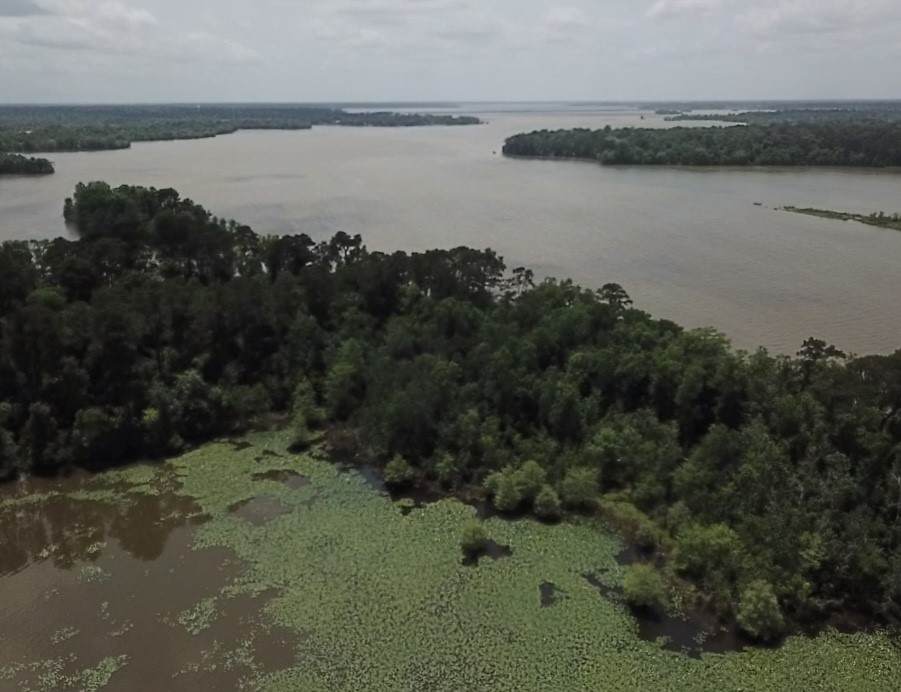 0 Reba Lane - Photo 1