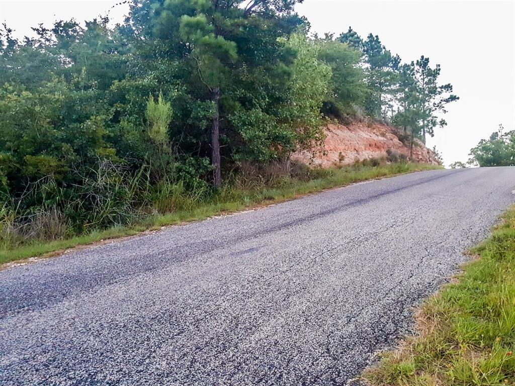 Lot 5 Tall Forest Drive - Photo 1