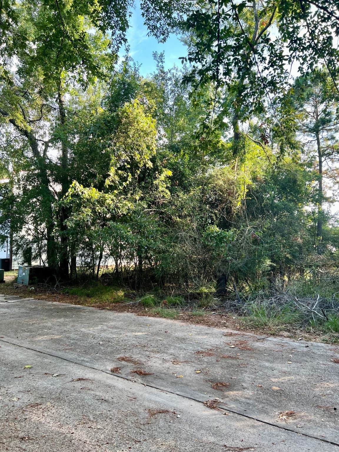3106 Poe Drive - Photo 1