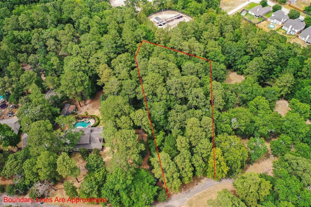 38602 Angel Oaks Drive - Photo 1
