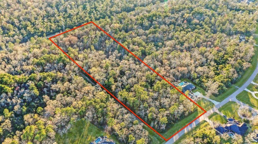 27362 Shady Hills Landing Dr - Photo 1