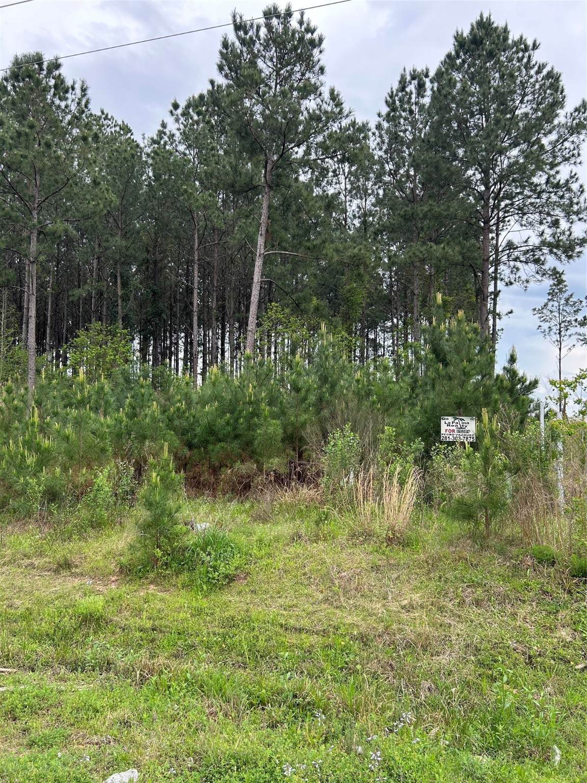 2978 County Road 3545 - Photo 1