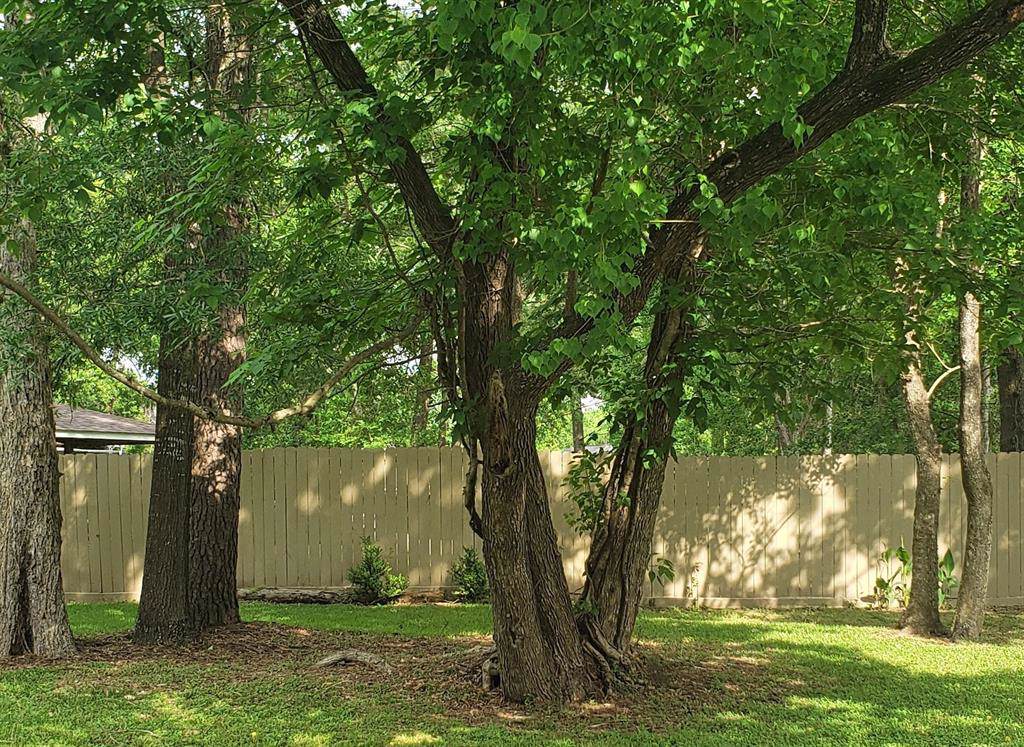 327 Kingsport Street - Photo 1