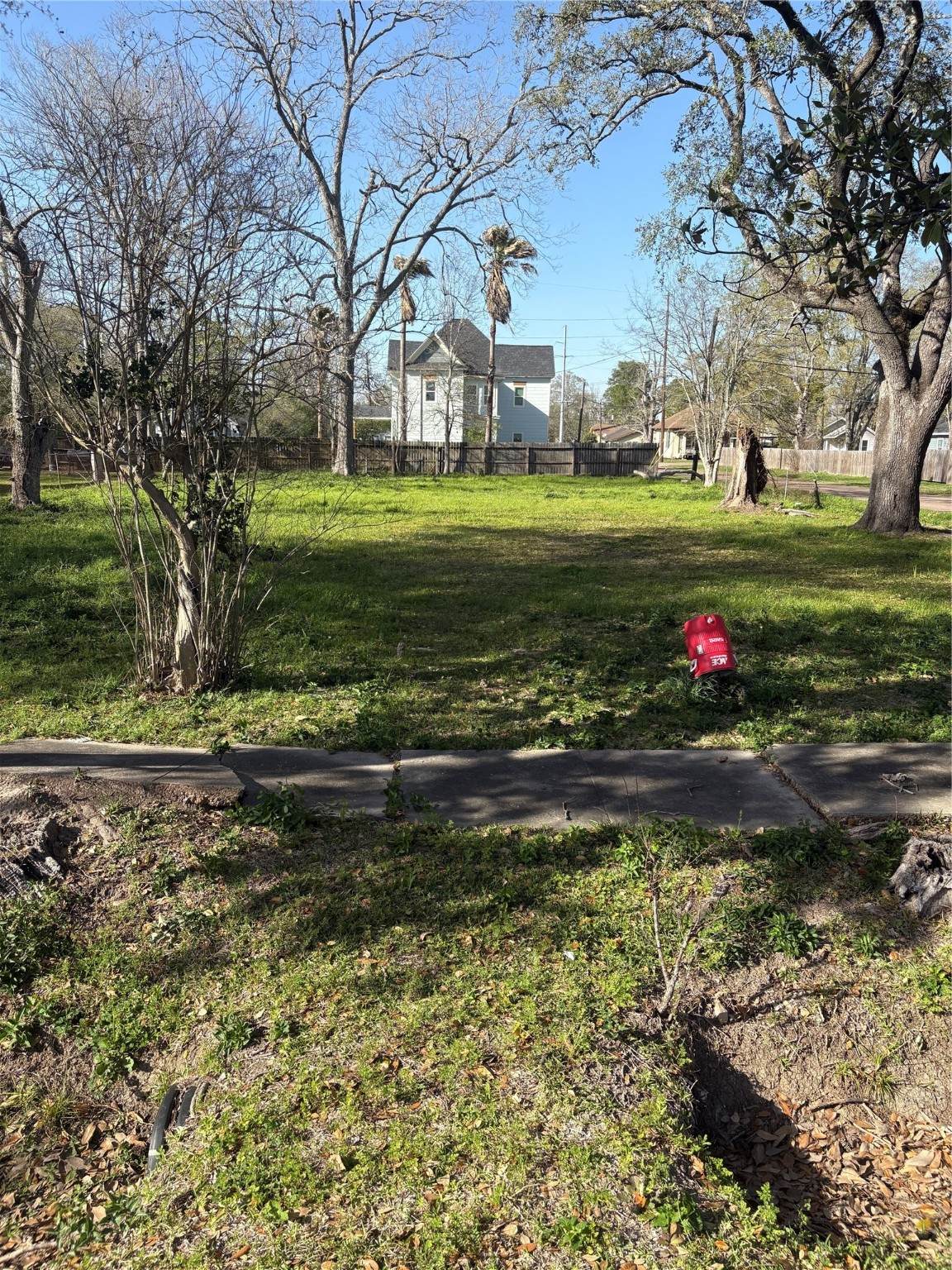1110 Pipkin Street - Photo 1
