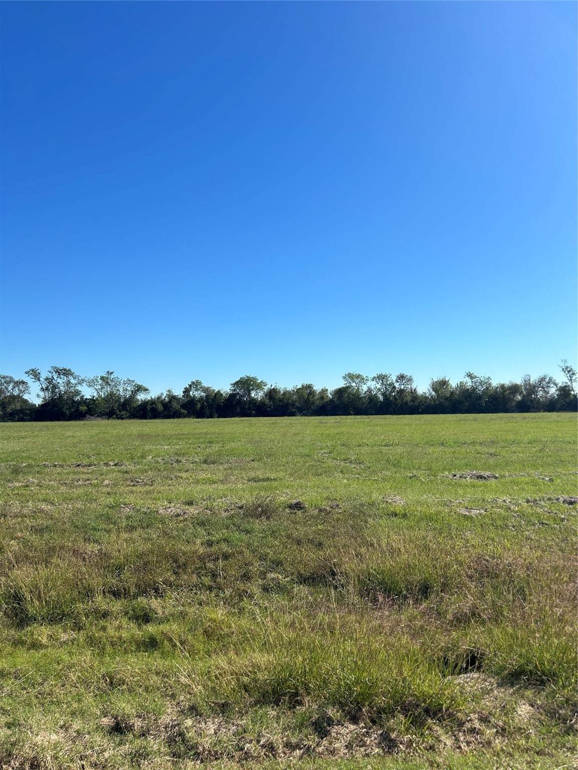 000 Brahman Trail - Photo 1