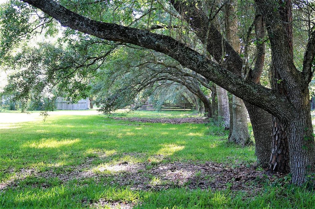 2218 County Road 57 - Photo 1