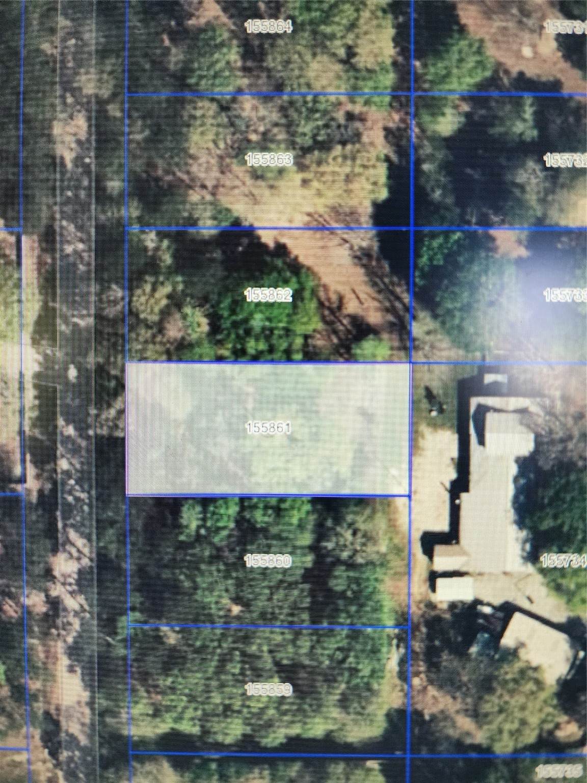 33102 Octavia Drive - Photo 1