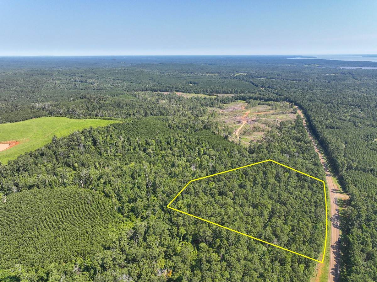 01 Highway 87 - Photo 1