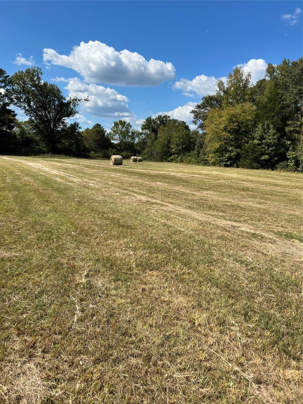 00 Acie Rhodes Road - Photo 1
