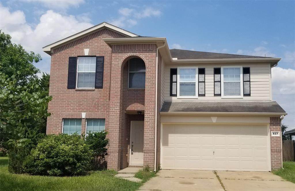 827 Wild Cotton Road - Photo 1