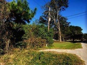 27833 Fm 2090 Road - Photo 1