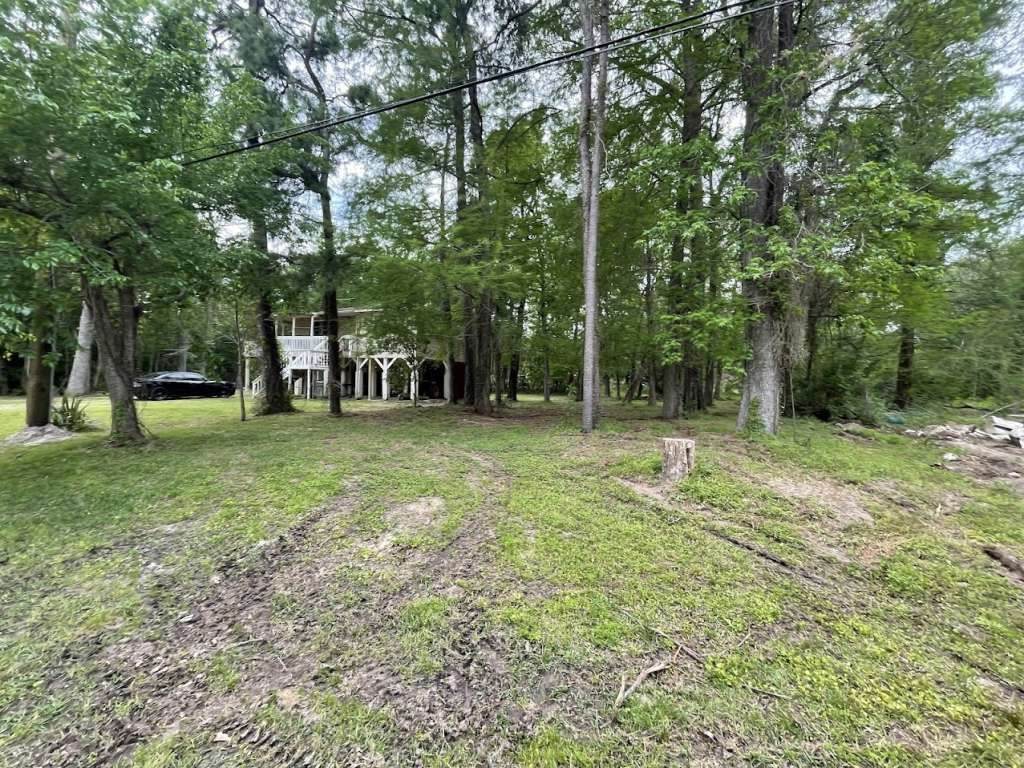 7047 Bolero Drive - Photo 1