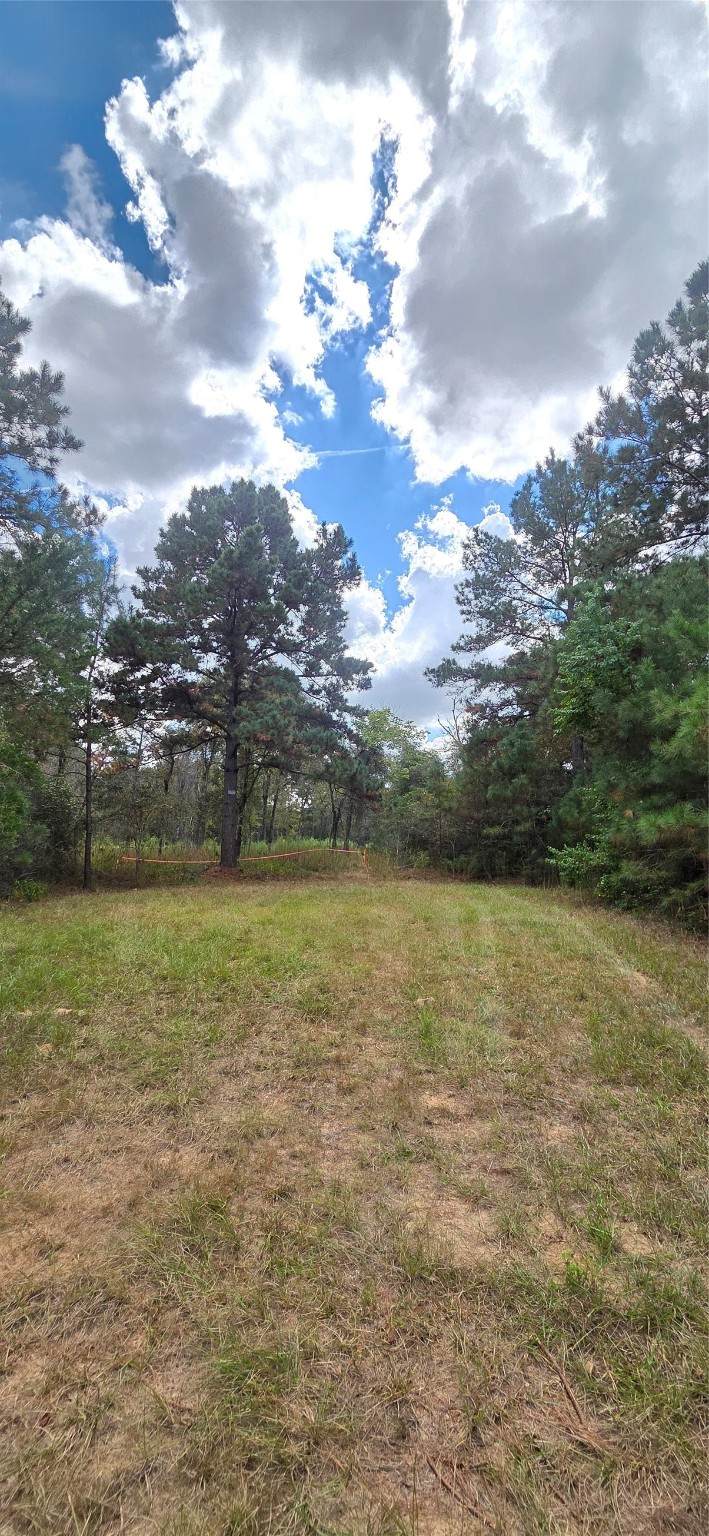 0 & 29699 Mcclellan Court - Photo 1