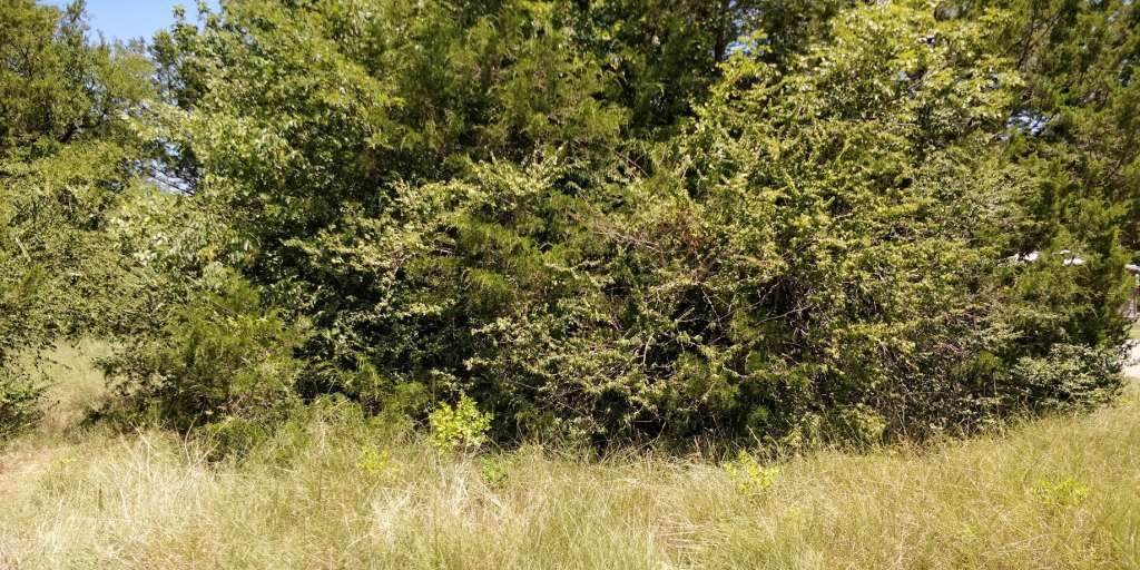 Lots 634 & 635 Shoshone Drive - Photo 1