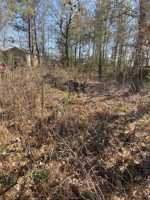 2276 County Road 3405 Drive - Photo 1