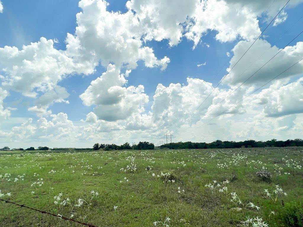 Tract #2 Fm 2562 Road - Photo 1