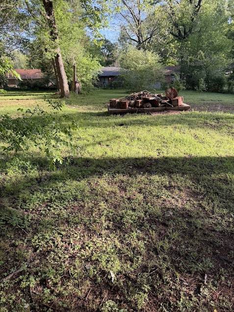 2413 Cass Street - Photo 1