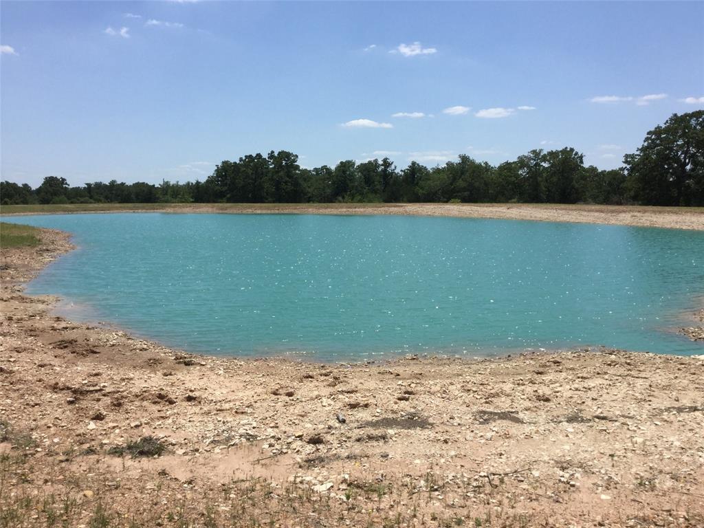 TBD Round Top Road - Photo 1