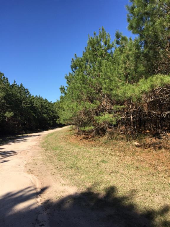 42 Ac Us 287 - Photo 1