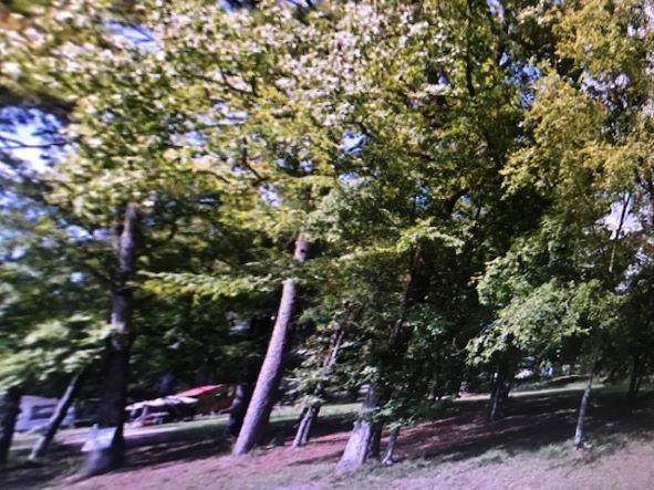 TBD Woodlands Drive - Photo 1