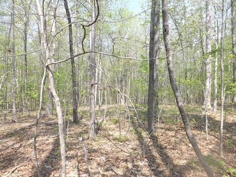 7095 Porter Drive - Photo 1