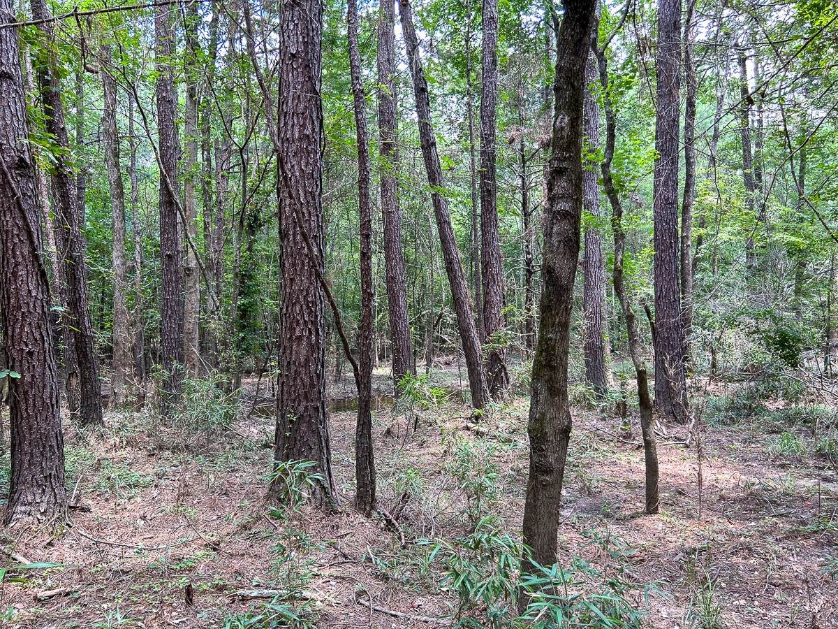 0 County Line Road - Photo 1