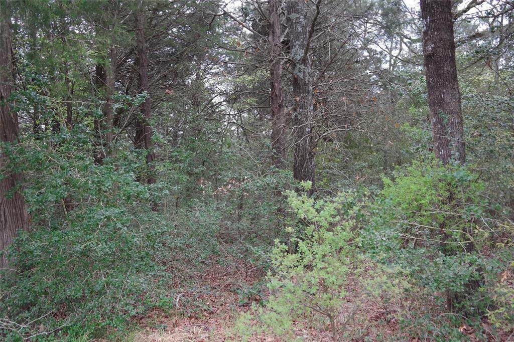 TBD Hwy 75 - Photo 1
