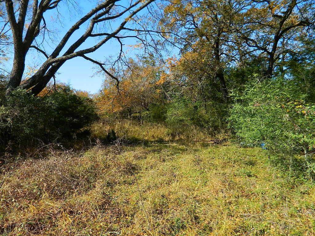 TBD County Rd 368 - Photo 1
