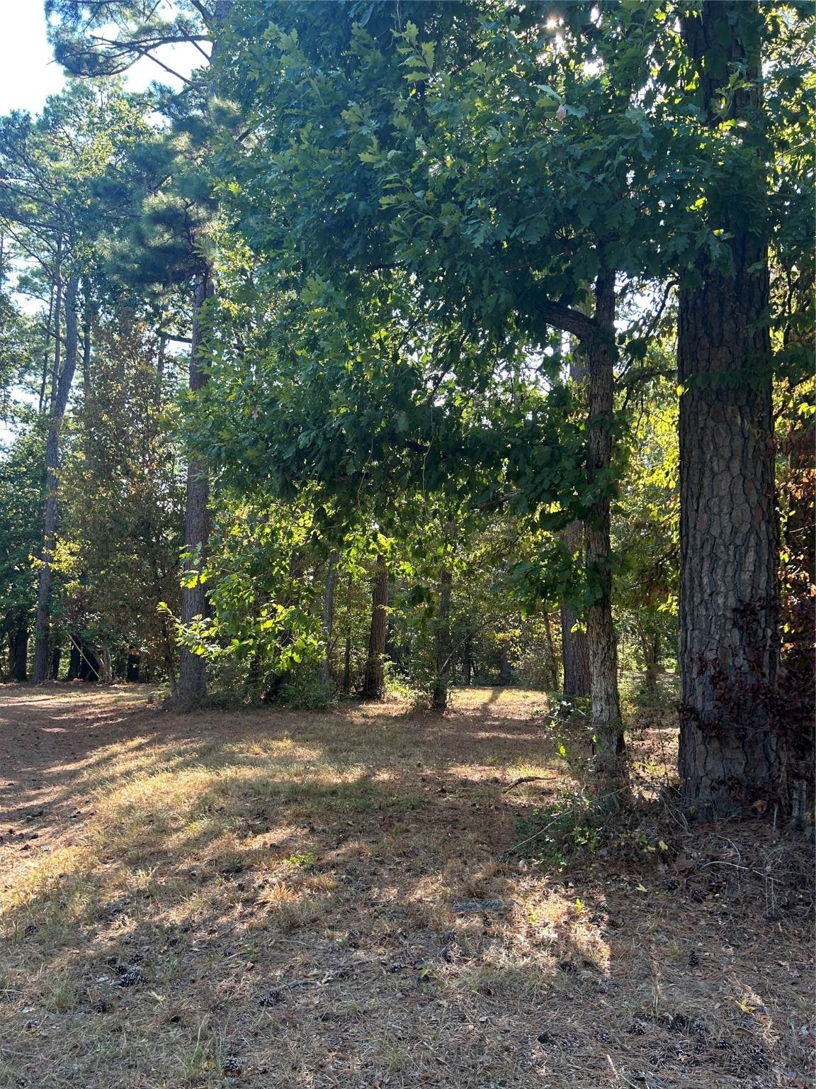 TBD Weepee Drive - Photo 1