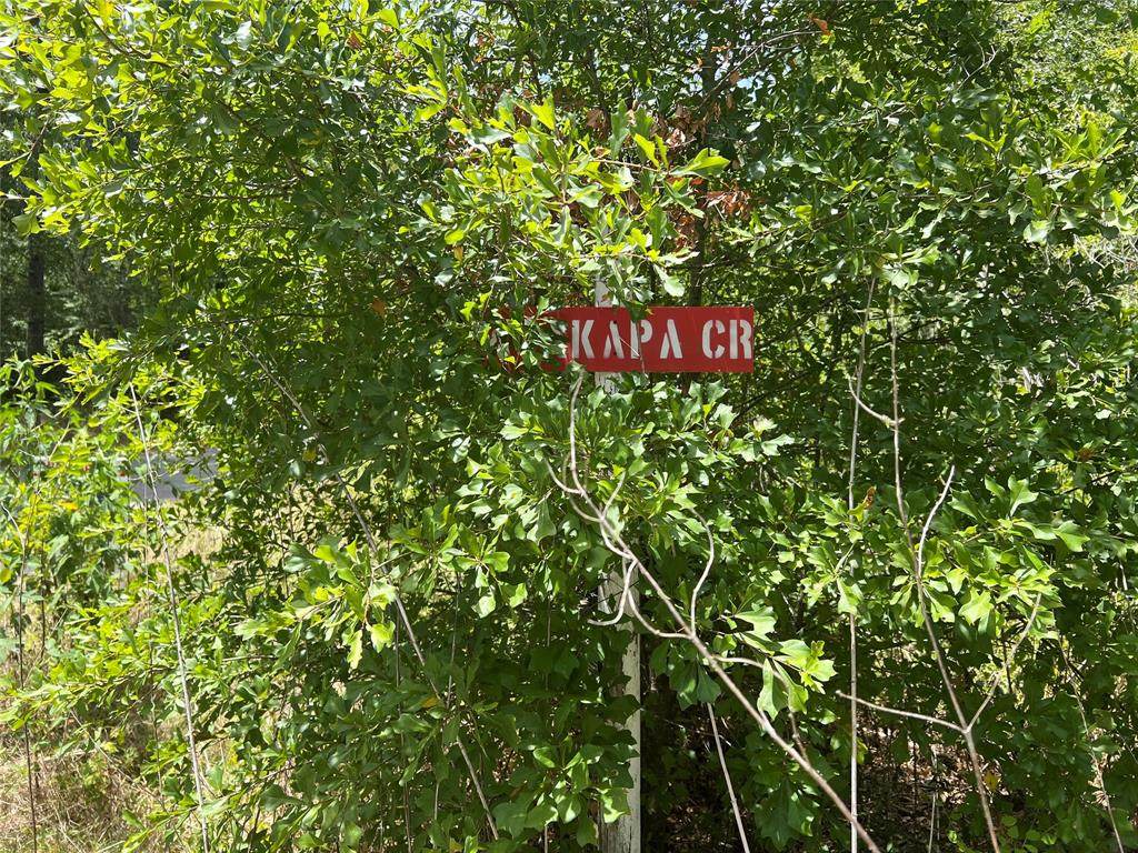 0 Tejas Drive - Photo 1