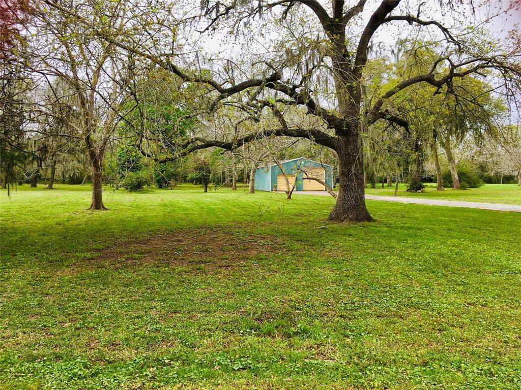 000 County Road 297 Oak Circle - Photo 1