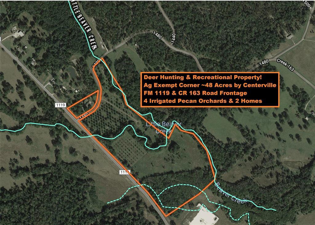 0 Fm 1119 And County Road 163 - Photo 1