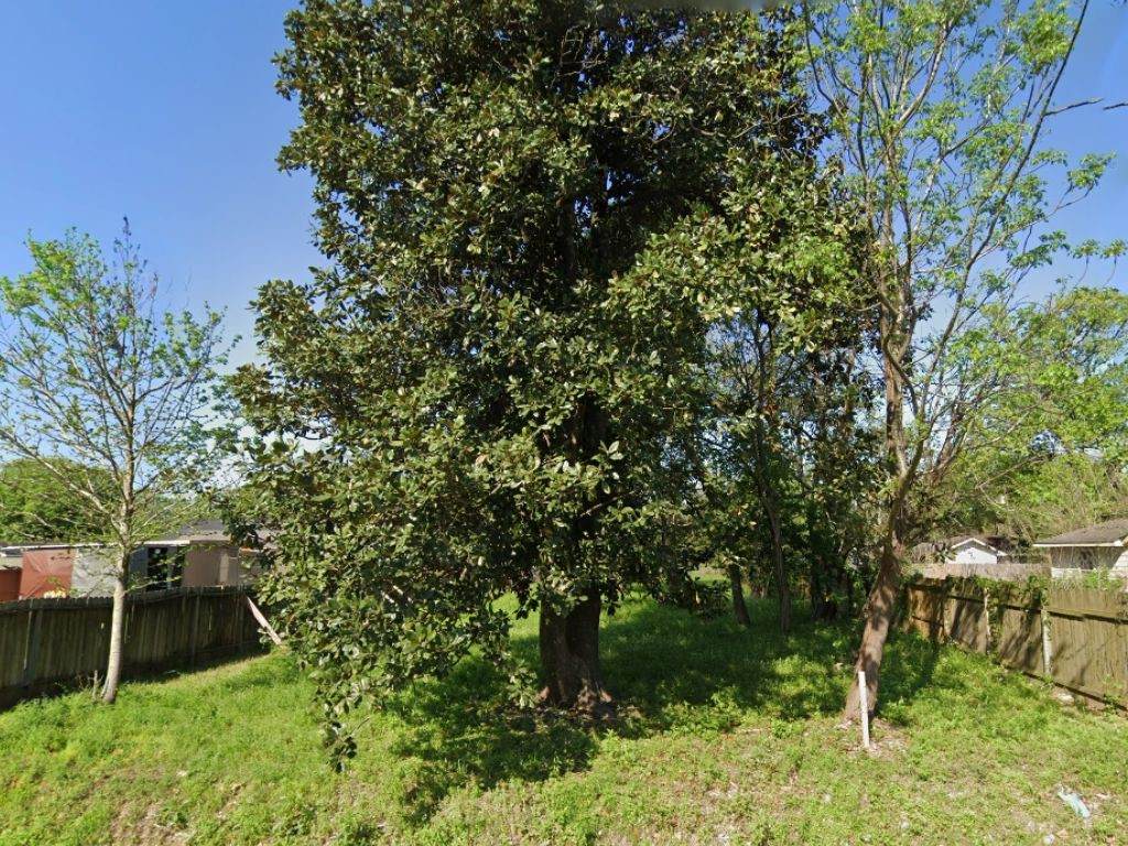 8312 Hoffman Street - Photo 1