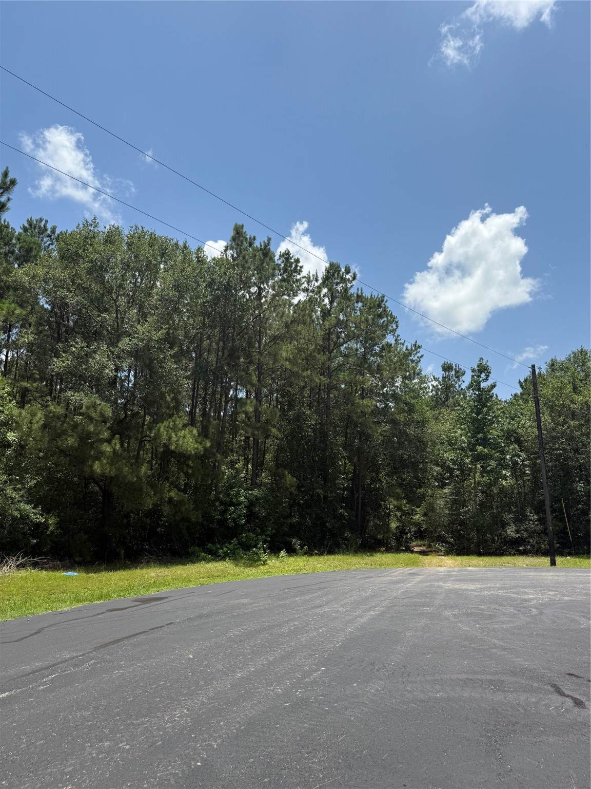 17647 Julianne Drive - Photo 1