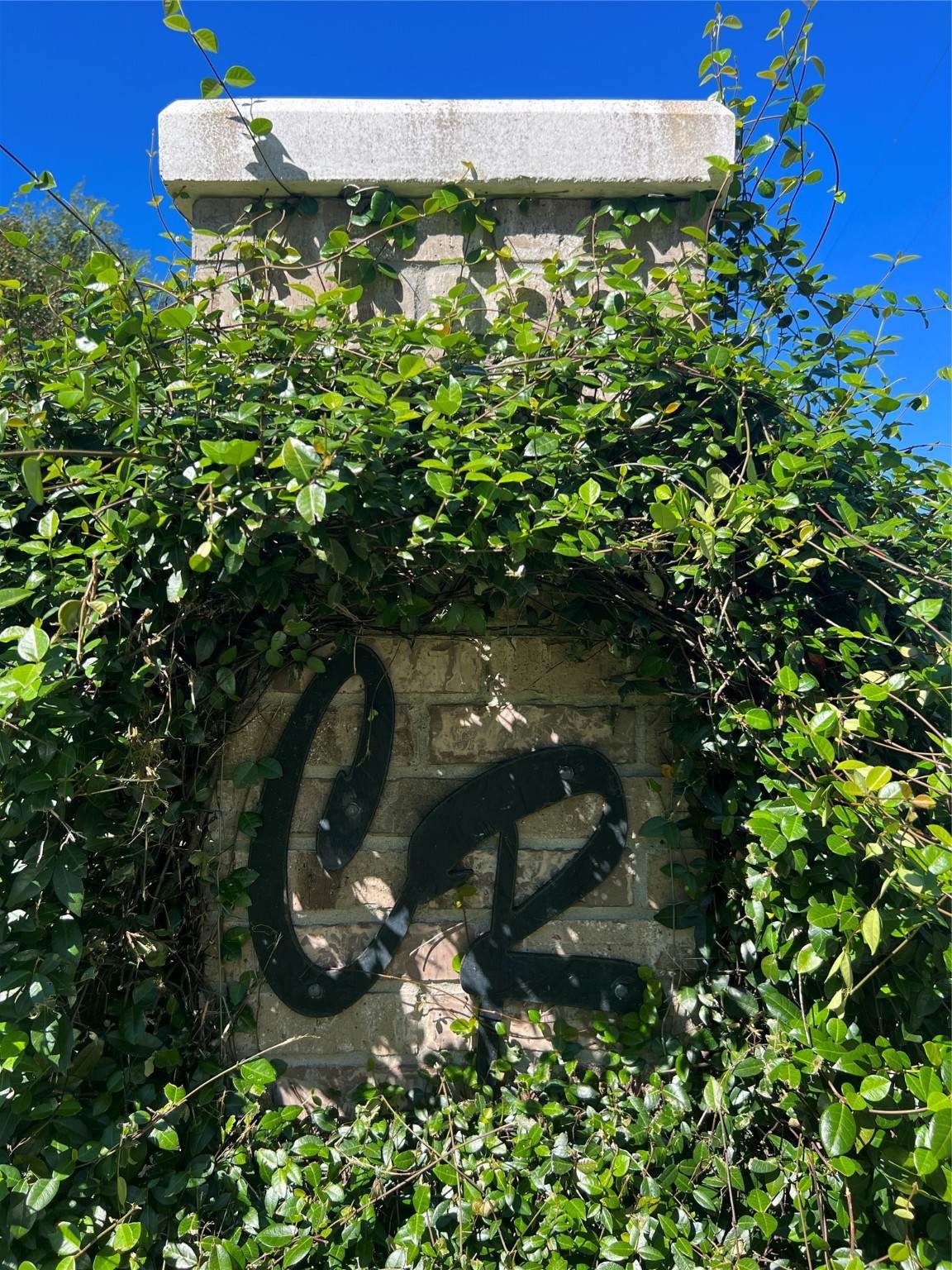 14032 Bazell Lane - Photo 1