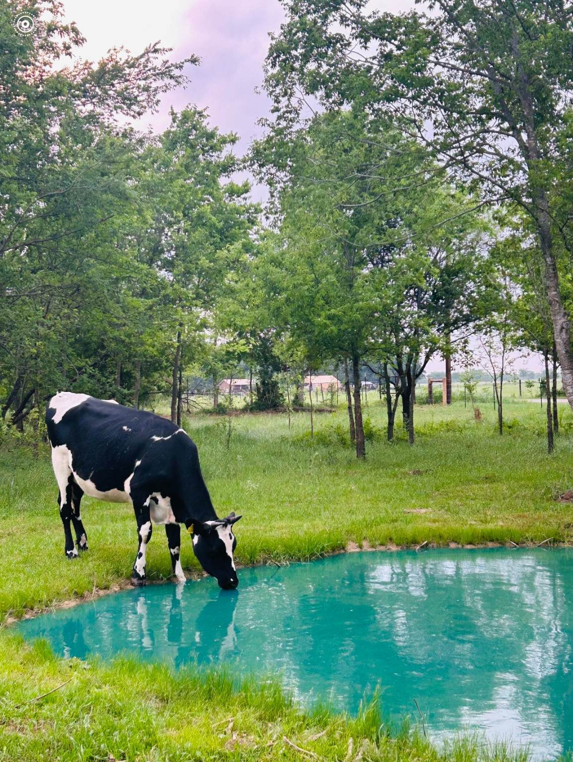 6AC County Road 930 - Photo 1