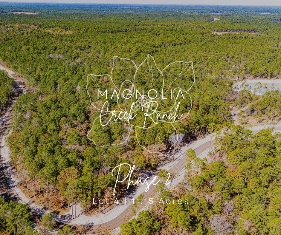 024 Magnolia Ranch Road - Photo 1