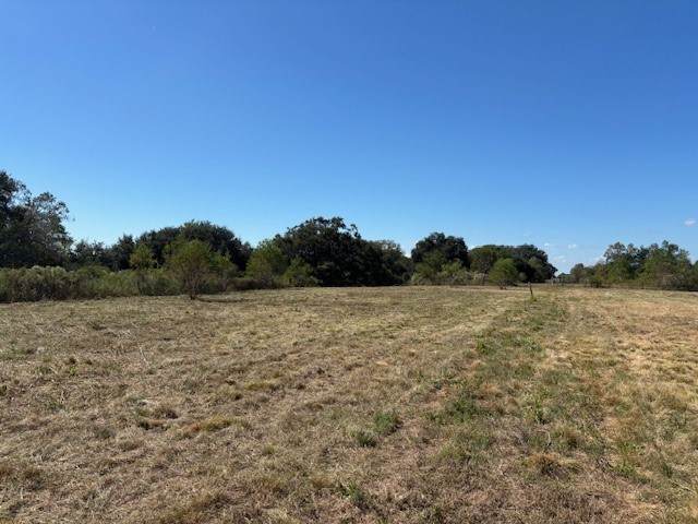 000 Wallisville Turtle Bayou Road - Photo 1
