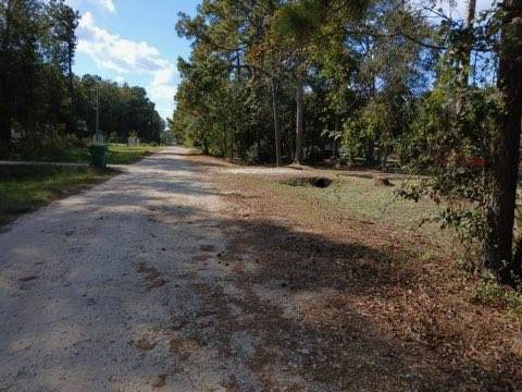 25881 Somerset - Photo 1