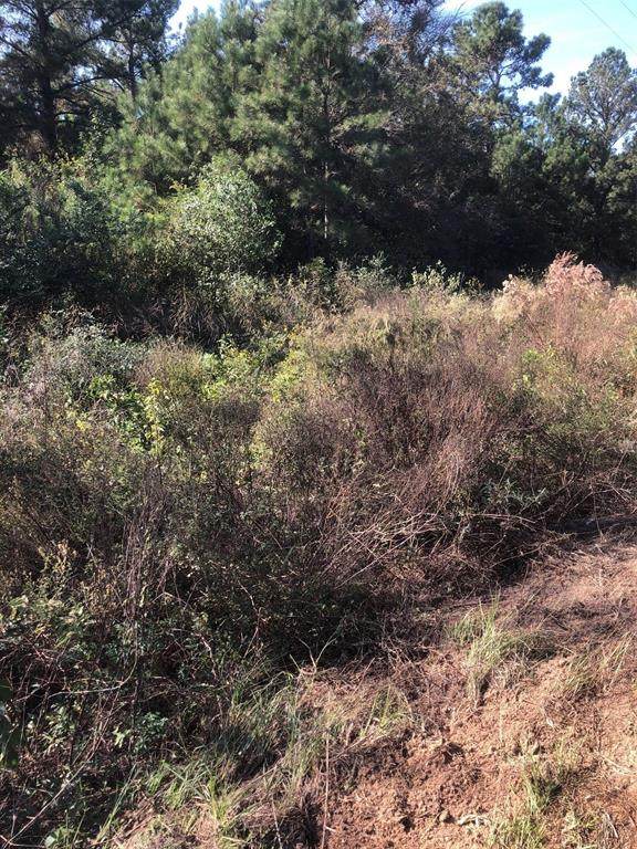 77-A Heritage Ranch - Photo 1