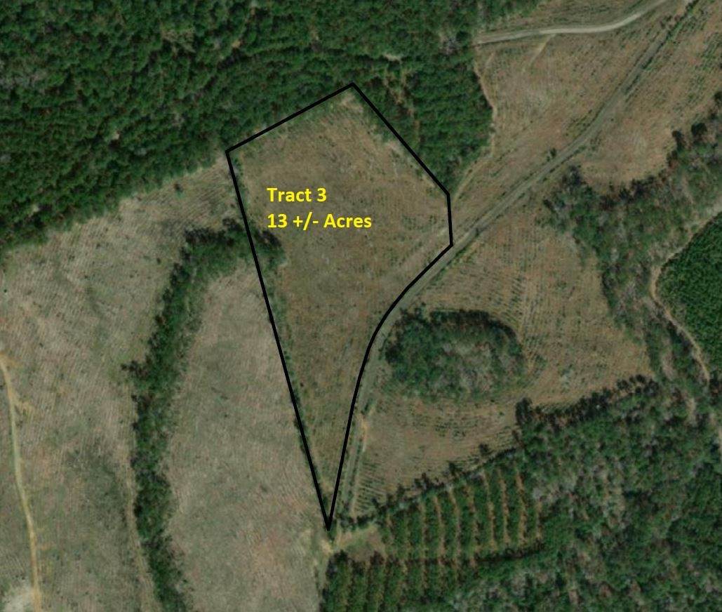 Tract 3 Cr 255 - Photo 1