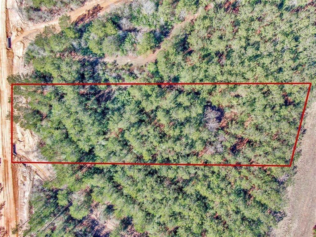 15388 Forest Grove Drive - Photo 1