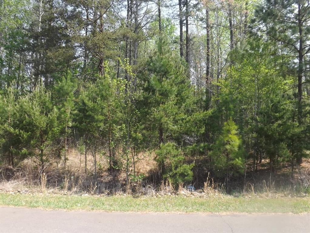 7075 Bayberry Drive - Photo 1