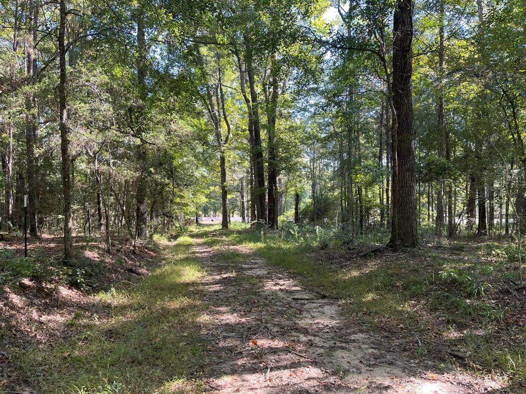 11985 Main St Hwy 287 - Photo 1